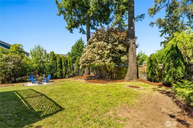 Bring your furry four-legged friends to enjoy this backyard.