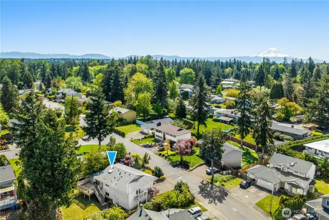 This is a lovely, well established neighborhood. Great for walks!
