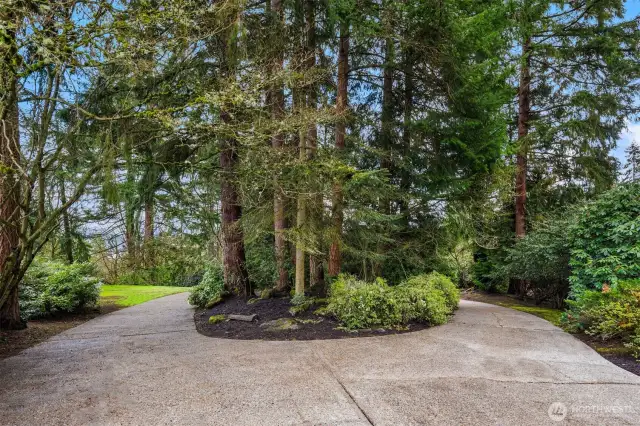 The entrance features a tree-lined circular driveway at the end of a quiet cul-de-sac.