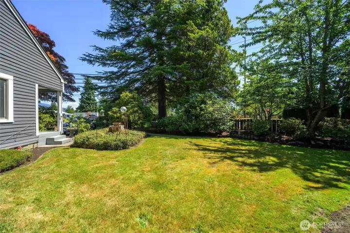 A view of the secluded garden area, perfect for peaceful afternoons or playtime with pets.