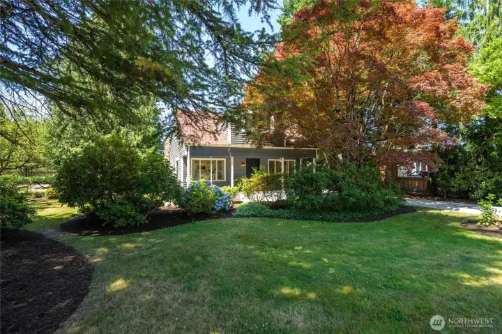 Stunning mature trees frame the home, creating privacy and shade for relaxing afternoons.