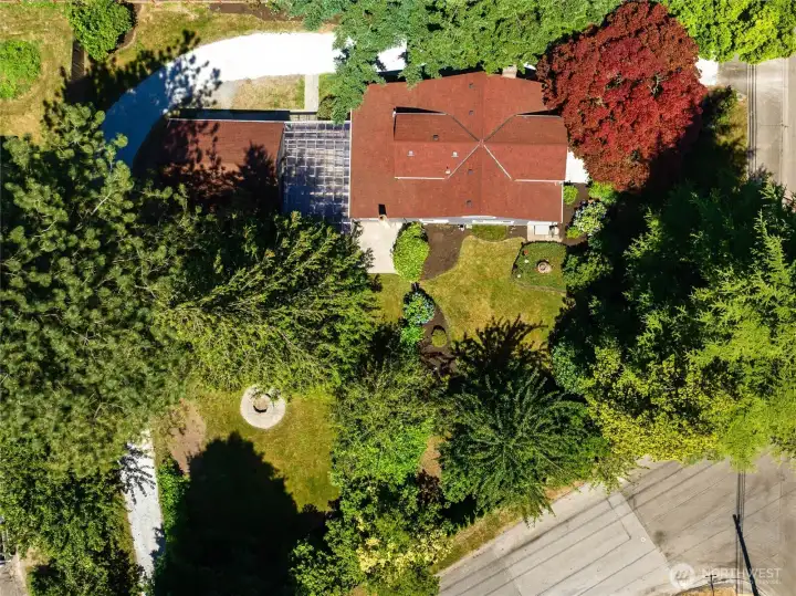 Aerial perspective of the backyard shows off the large lot with mature trees and garden beds.