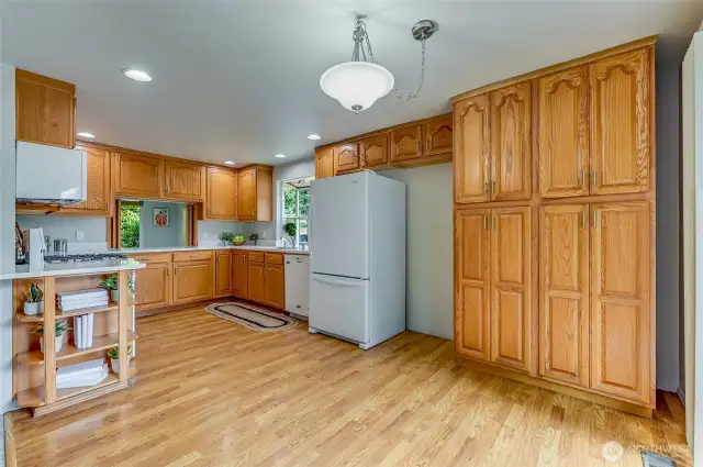 Zooming out you get a look at a few extra features. Built-in pantry cabinets, cookbook nook, and extra space for a freezer or...and I mean OR...you could put in a fridge/freezer subzero combo there. Poof! Mind blown! Also, there is plenty of space for a breakfast table here.