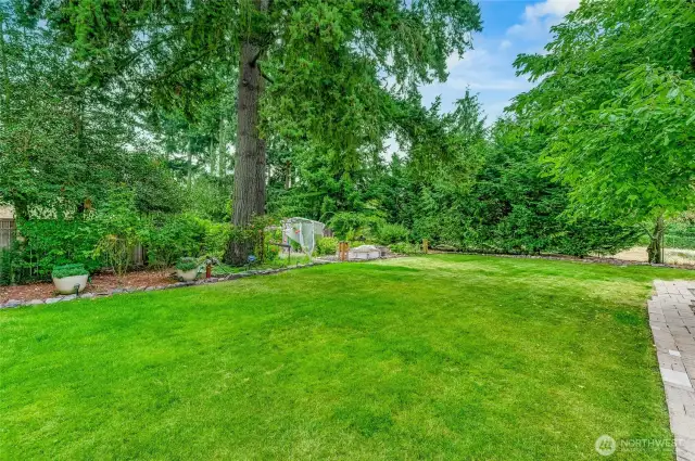 Over 1/3 of an acre to play, recreate, entertain, and garden. Apple, Pear and cherry trees are only the beginning, a full vegetable garden awaits your attention.