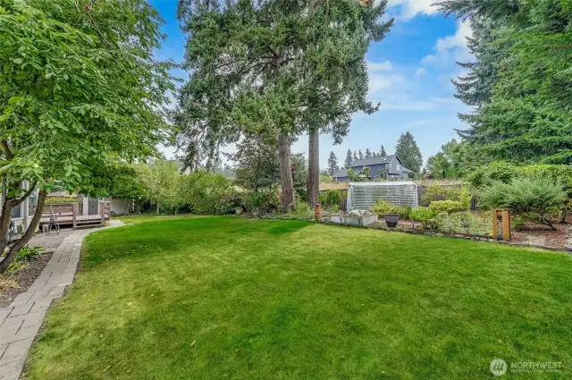 View from the side yard to the garden. Behind the house is a green space between the neighbor and the Sunrise Village shopping center. Very peaceful, quite, and calm back yard.