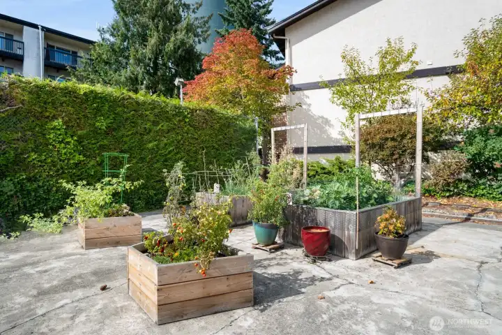 Community garden