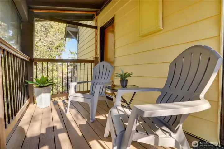 Catio is completely screened in with ‘super screen’.