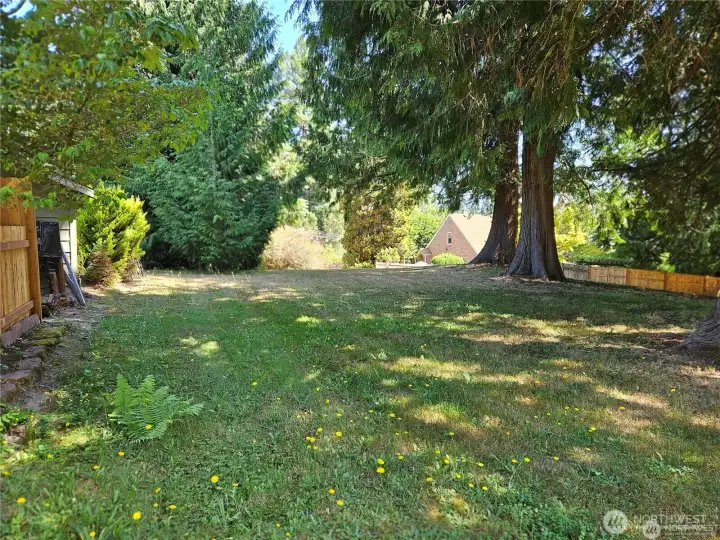 This photo is taken from the southwest corner of the lot looking back to the home in the background.  The lot is a separate tax parcel and is fully buildable and has a separate drive and water meter is on the lot.  The lot is "L" shaped, you can see a sketch of it in one of the photos.  The lot has several giant Sequoias as seen in this photo.