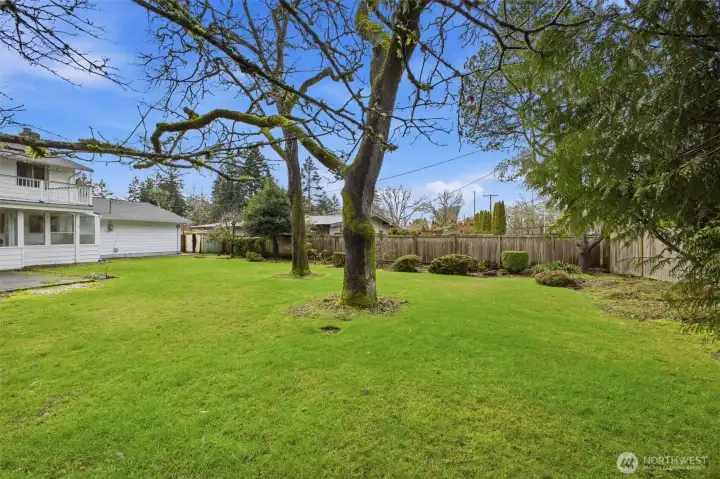 Plenty of room to run and play!