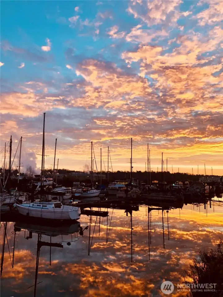 South Park marina a block away