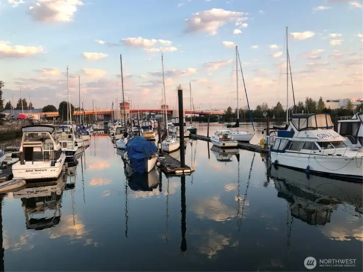 South Park marina