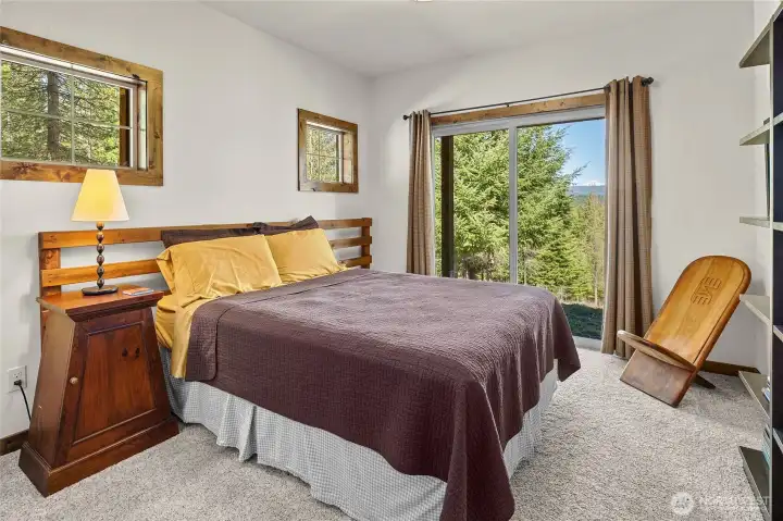 Lower level bedroom.