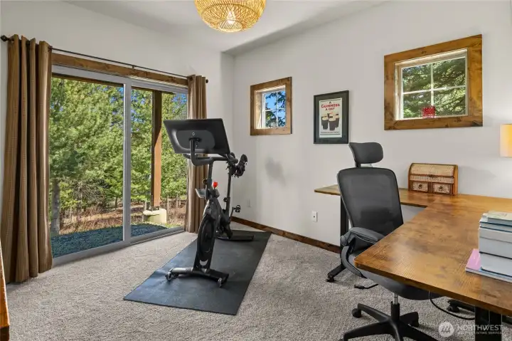 Second lower-level bedroom.