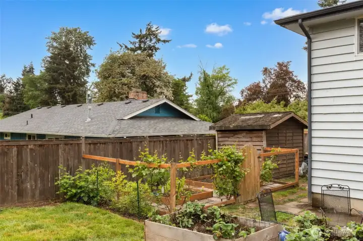 Curated Garden with active berry bushes and other veggies