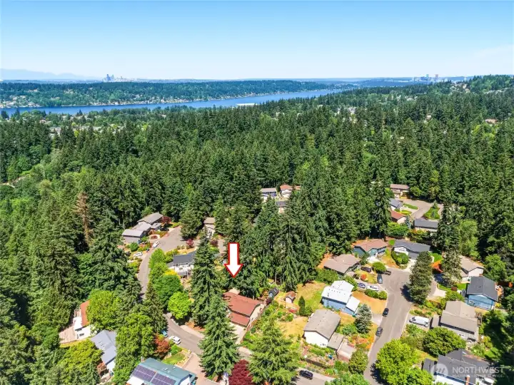 Built in a no outlet neighborhood with amazing greenery. Access to May Creek trail right outside your front door as well as a neighborhood playground and park just minutes walking.
