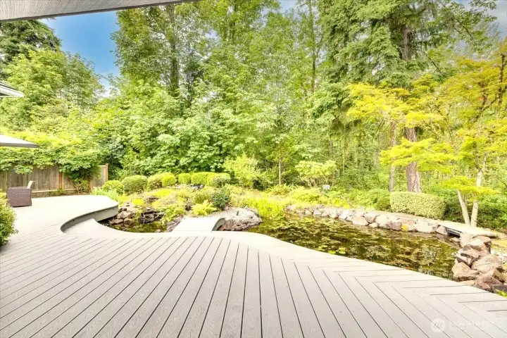 Koi pond and waterfall,