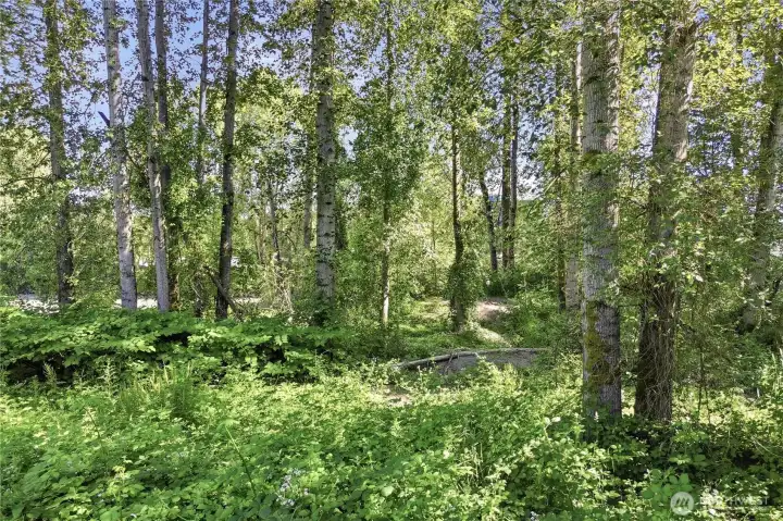 County Owned River Bank