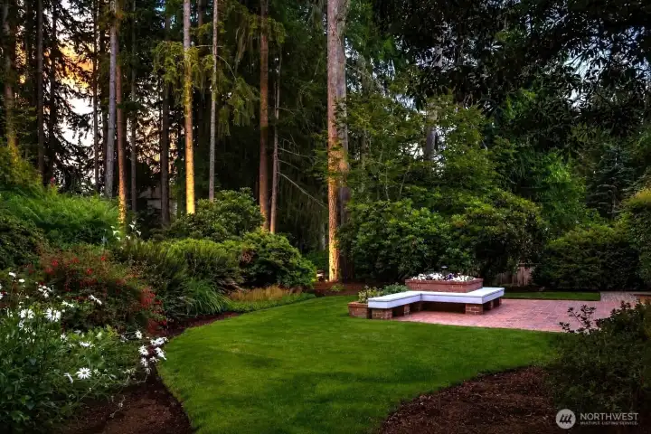 Landscape lighting and mature growth Landscape lighting and mature growth