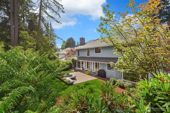 Mature growth ensures backyard privacy Mature growth ensures backyard privacy