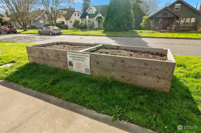 Food is Free Tacoma maintained street garden beds!