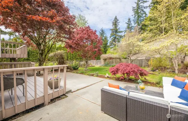 Your private oasis! A large, level, fully fenced yard.