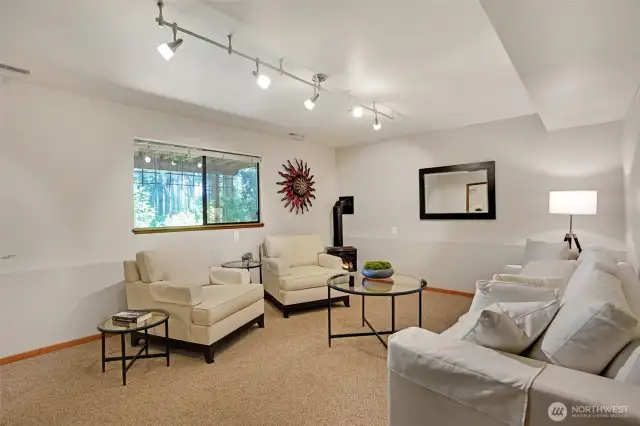 Gas Stove in Lower Bonus room includes closet.