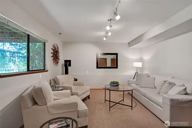 This additional finished room includes a closet.
