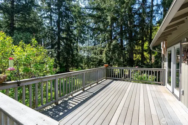 Large Composite deck