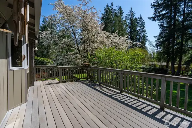 Relax and enjoy the Privacy of this incredible Yard.