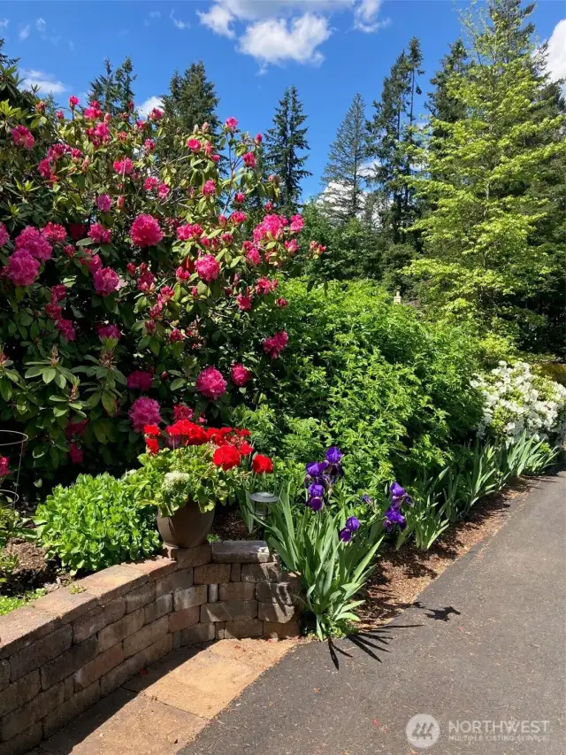 Gardens at entry Driveway.