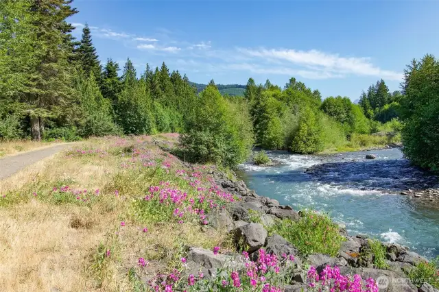 Dungeness River Trail