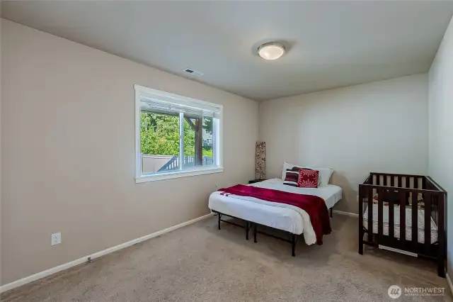 Spacious entry level bedroom looking out to the backyard rock garden and corner floral platform.