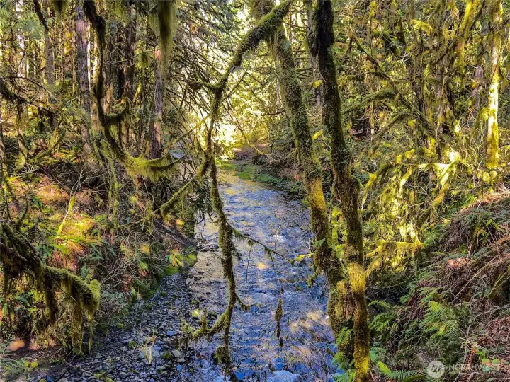 Soothing Little Quil River...365' of frontage with medium bank that has never flooded!