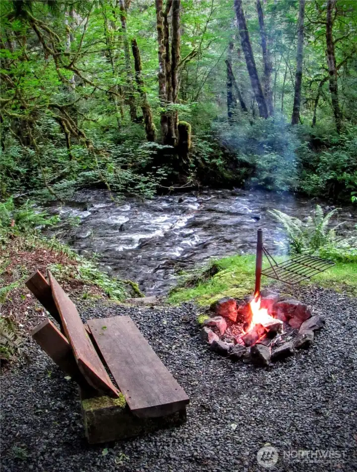 Enjoy a campfire by the soothing Little Quil River...365' of frontage with medium bank that has never flooded!