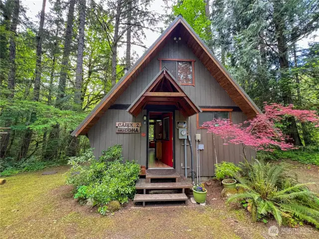 The Buddha Cabin feels like a treehouse among the giant firs. Charming a-frame style with open sleeping loft, great wall of windows, cozy fireplace and large deck overlooking your private riverside garden.