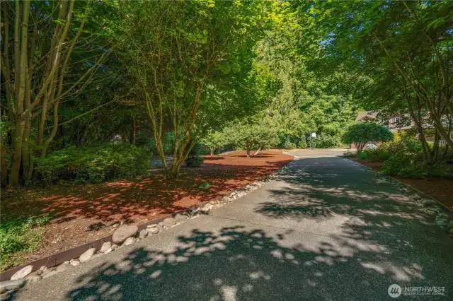 Winding driveway to a secluded home.