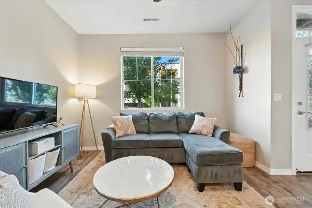 Living Room, south-facing window
