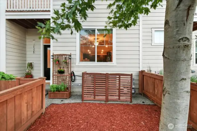 Front Yard is fenced