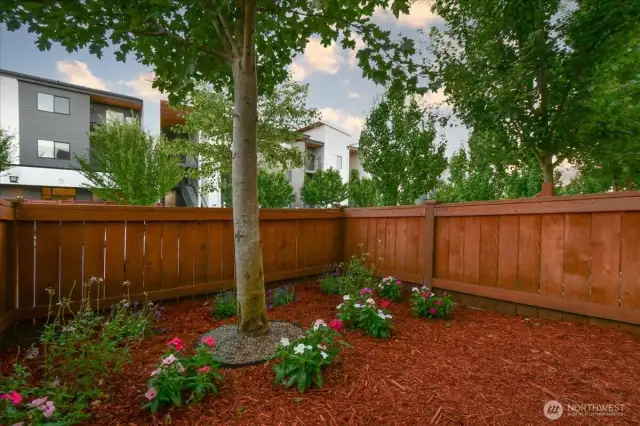 Front Yard is fenced