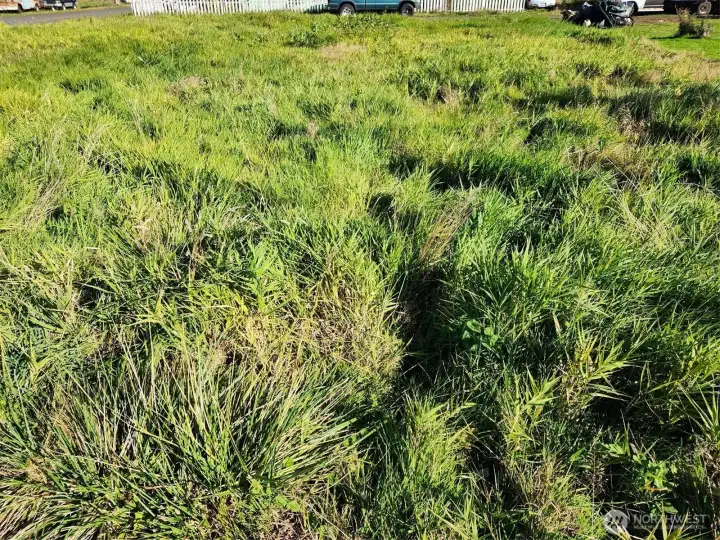 Vacant Corner Lot with a view!