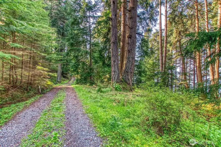 Secluded, private in a pristine forest.