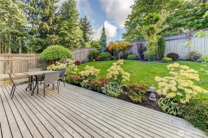 Nice entertaining deck