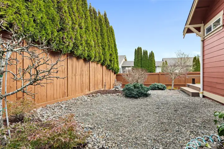 Low maintenance yard