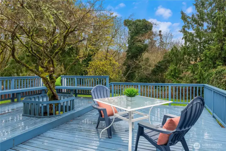 Welcome to your private park-like backyard with this gorgeous deck that looks over your private greenbelt (that you own).