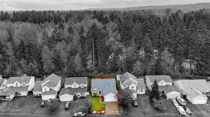 Great view of the lot with the trees behind this street offering privacy.
