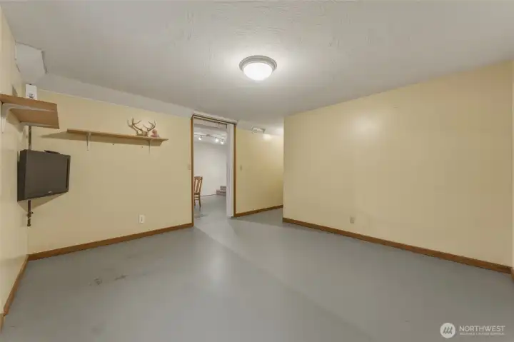 Bonus Room - Basement
