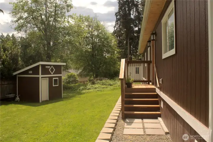 backyard