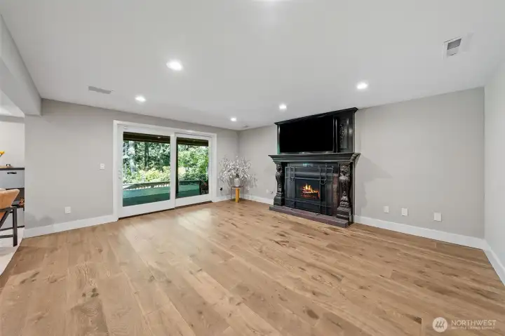 Lower Level Family Room