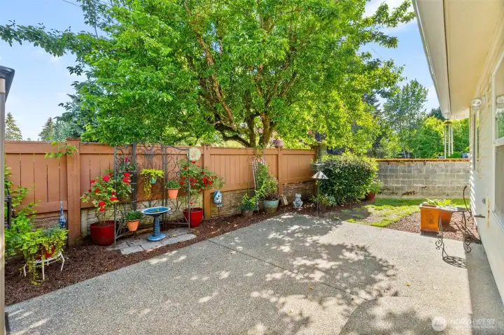 This gorgeous tree brings a beautiful shade of green and adds privacy to your little backyard oasis--the fence and rockery are maintained by the HOA, and add to the peaceful vibe out here. This gorgeous tree brings a beautiful shade of green and adds privacy to your little backyard oasis--the fence and rockery are maintained by the HOA, and add to the peaceful vibe out here.