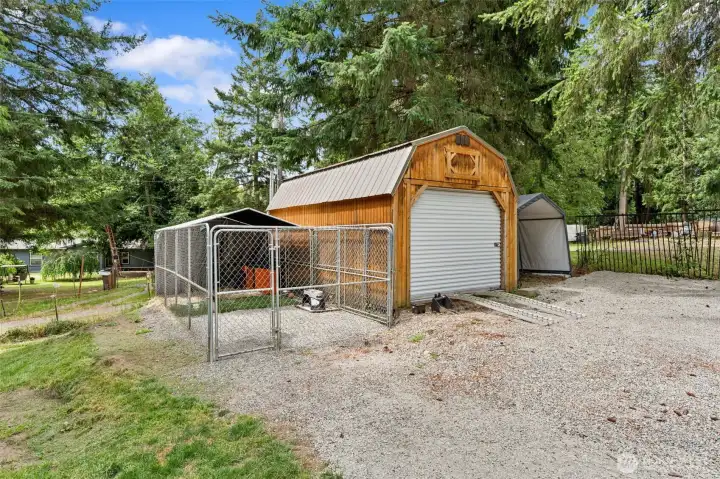 Large shed and dog run. Temporary items removed digitally.